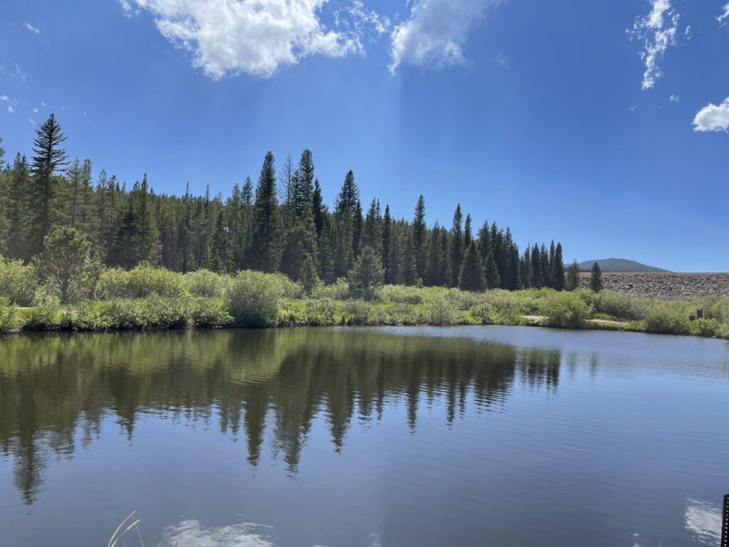 Snoopy Pond